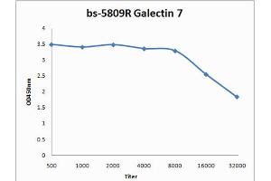 Formalin-fixed and paraffin embedded rat skin labeled with Anti-Galectin 7 Polyclonal Antibody, Unconjugated (ABIN715076) at 1:200 followed by conjugation to the secondary antibody and DAB staining (LGALS7 抗体  (AA 31-100))
