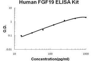 Human FGF19 PicoKine ELISA Kit standard curve (FGF19 ELISA 试剂盒)