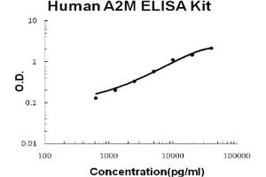 Human A2M/alpha2-Macroglobulin Accusignal ELISA Kit Human A2M/alpha2-Macroglobulin AccuSignal ELISA Kit standard curve. (alpha 2 Macroglobulin ELISA 试剂盒)