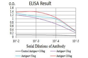 Black line: Control Antigen (100 ng),Purple line: Antigen (10 ng), Blue line: Antigen (50 ng), Red line:Antigen (100 ng) (Integrin beta 4 抗体  (AA 29-206))