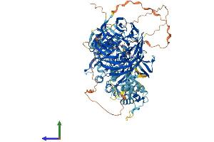 AlphaFold protein structure predicition of Mouse Recombinant Aasdh Protein, UniprotID Q80WC9 (AASDH Protein (AA 1-1100) (His tag))