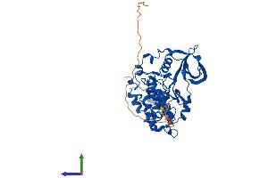 Protein Structure (PS) image for Casein Kinase 2 alpha 1 (CSNK2A1) (AA 1-391) protein (His tag) (ABIN7553581)