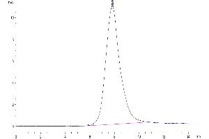 Size-exclusion chromatography-High Pressure Liquid Chromatography (SEC-HPLC) image for Interleukin 18 Binding Protein (IL18BP) (AA 29-193) protein (His tag) (ABIN7274981)
