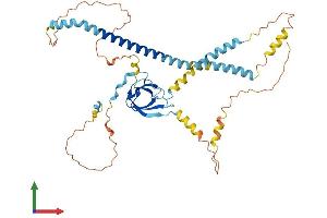 Protein Structure (PS) image for Peroxisomal Biogenesis Factor 13 (PEX13) (AA 1-403) protein (His tag) (ABIN7550692)