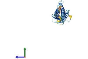 Protein Structure (PS) image for Claudin 3 (CLDN3) (AA 1-219) protein (His tag) (ABIN7556346)
