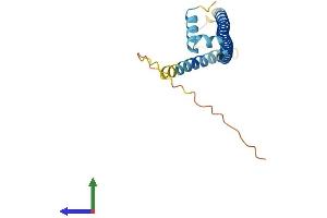 Protein Structure (PS) image for Activating Transcription Factor 3 (ATF3) (AA 1-181) protein (His tag) (ABIN7557605)