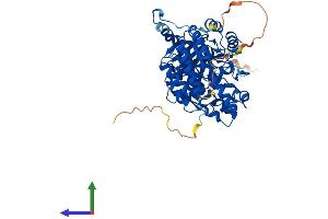 Protein Structure (PS) image for Dihydropyrimidinase-Like 4 (DPYSL4) (AA 1-572) protein (His tag) (ABIN7547258)