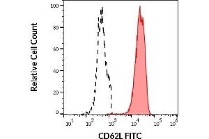 Separation of human neutrophil granulocytes (red-filled) from CD62L negative lymphocytes (black-dashed) in flow cytometry analysis (surface staining) of human peripheral whole blood stained using anti-human CD62L (DREG56) FITC antibody (20 μL reagent / 100 μL of peripheral whole blood). (L-Selectin 抗体  (FITC))