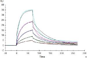 Surface Plasmon Resonance (SPR) image for CD274 (PD-L1) (AA 19-238) protein (His tag) (ABIN7275435)