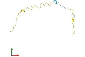 Protein Structure (PS) image for Protein Kinase (CAMP-Dependent, Catalytic) Inhibitor beta (PKIB) (AA 1-78) protein (Fc Tag) (ABIN7548566)
