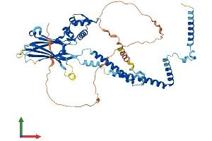Protein Structure (PS) image for SWI/SNF Related, Matrix Associated, Actin Dependent Regulator of Chromatin, Subfamily D, Member 1 (SMARCD1) (AA 1-515) protein (His tag) (ABIN7555539)