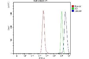 Flow Cytometry analysis of Daudi cells using anti-UBC12/UBE2M antibody (ABIN7600885). (UBE2M 抗体  (AA 25-154))