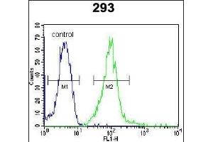 I2BP2 Antibody (Center) (ABIN654481 and ABIN2844216) flow cytometric analysis of 293 cells (right histogram) compared to a negative control cell (left histogram).