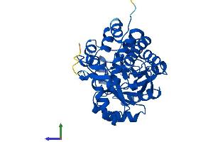 AlphaFold protein structure predicition of Mouse Recombinant Hao1 Protein, UniprotID Q9WU19
