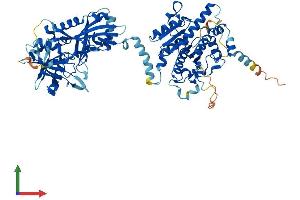 Protein Structure (PS) image for ATG7 Autophagy Related 7 (ATG7) (AA 1-698) protein (His tag) (ABIN7564998)