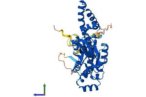 Protein Structure (PS) image for Obg-Like ATPase 1 (OLA1) (AA 1-396) protein (His tag) (ABIN7560771)
