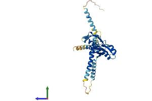 Protein Structure (PS) image for Centromere Protein O (CENPO) (AA 1-298) protein (His tag) (ABIN7559417)