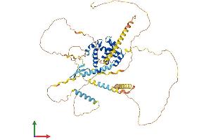 Protein Structure (PS) image for AT Rich Interactive Domain 3A (BRIGHT-Like) (ARID3A) (AA 1-601) protein (His tag) (ABIN7563968)