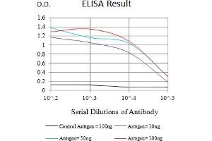 Black line: Control Antigen (100 ng),Purple line: Antigen (10 ng), Blue line: Antigen (50 ng), Red line:Antigen (100 ng) (CD177 抗体  (AA 22-161))