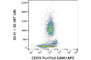 Surface staining of human peripheral blood cells with anti-CD55 (MEM-118) purified, GAM-APC. (CD55 抗体)