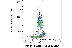 Surface staining of human peripheral blood cells with anti-CD55 (MEM-118) purified, GAM-APC.