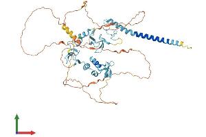AlphaFold protein structure predicition of Human Recombinant RNF217 Protein, UniprotID Q8TC41