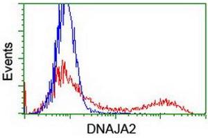 HEK293T cells transfected with either RC202204 overexpress plasmid (Red) or empty vector control plasmid (Blue) were immunostained by anti-DNAJA2 antibody (ABIN2454004), and then analyzed by flow cytometry. (DNAJA2 抗体)