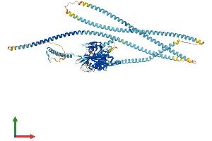 Protein Structure (PS) image for Kinesin Family Member 5C (KIF5C) (AA 1-957) protein (His tag) (ABIN7554382)