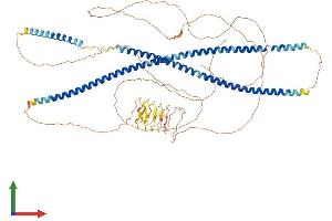 Protein Structure (PS) image for Keratin 9 (KRT9) (AA 1-743) protein (His tag) (ABIN7558100)