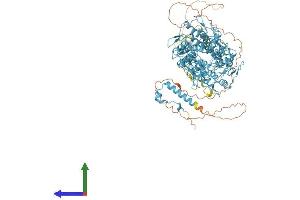 AlphaFold protein structure predicition of Human Recombinant ZNF845 Protein, UniprotID Q96IR2