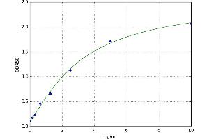 A typical standard curve (SP7 ELISA 试剂盒)
