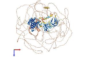 AlphaFold protein structure predicition of Mouse Recombinant Arhgap23 Protein, UniprotID Q69ZH9