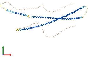 AlphaFold protein structure predicition of Mouse Recombinant Krt82 Protein, UniprotID Q99M74 (Keratin 82 Protein (KRT82) (AA 1-516) (His tag))