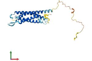 Protein Structure (PS) image for Synaptogyrin 2 (SYNGR2) (AA 1-224) protein (His tag) (ABIN7562480)