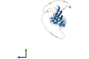 Protein Structure (PS) image for TAO Kinase 1 (TAOK1) (AA 1-1001) protein (His tag) (ABIN7563816)