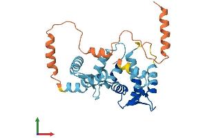 Protein Structure (PS) image for Kv Channel Interacting Protein 4 (KCNIP4) (AA 1-250) protein (His tag) (ABIN7558086)