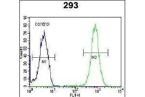 SAR1B Antibody (Center) (ABIN654355 and ABIN2844120) flow cytometric analysis of 293 cells (right histogram) compared to a negative control cell (left histogram). (SAR1B 抗体  (AA 89-116))