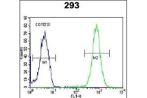SAR1B Antibody (Center) (ABIN654355 and ABIN2844120) flow cytometric analysis of 293 cells (right histogram) compared to a negative control cell (left histogram). (SAR1B 抗体  (AA 89-116))