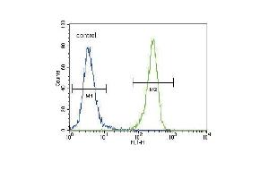 DDR1 Antibody (Center) (ABIN391458 and ABIN2841434) flow cytometric analysis of 293 cells (right histogram) compared to a negative control cell (left histogram). (DDR1 抗体  (AA 299-330))