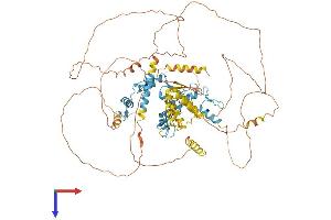 ZBTB49 Protein (AA 1-765) (His tag)