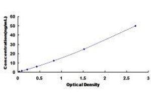 Ryanodine Receptor 1 (Skeletal) (RYR1) ELISA Kit