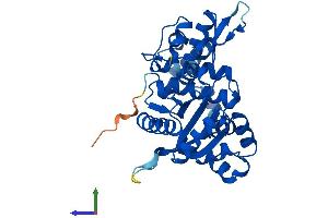 Protein Structure (PS) image for Polymerase (DNA Directed), beta (POLB) (AA 1-335) protein (His tag) (ABIN7547256)