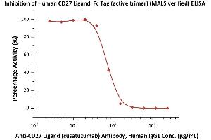 Serial dilutions of A Ligand (cusatuzumab) Antibody, Human IgG1 were added into Human CD27 Ligand, Fc Tag (active trimer) (MALS verified) (ABIN6951036,ABIN6952263): Biotinylated Human CD27, Fc,Avitag (ABIN4949011,ABIN4949012) binding reactions. (CD70 Protein (AA 52-193) (Fc Tag))