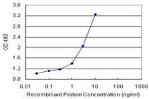 Sandwich ELISA detection sensitivity ranging from 0. (RAD51 (人) Matched Antibody Pair)