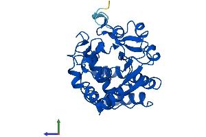 Protein Structure (PS) image for Sulfotransferase Family 1B Member 1 (SULT1B1) (AA 1-296) protein (His tag) (ABIN7546320)