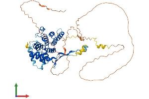 AlphaFold protein structure predicition of Mouse Recombinant Hycc1 Protein, UniprotID Q6P9N1