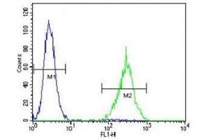 SOX1 antibody flow cytometric analysis of NCI-H460 cells (right histogram) compared to a  (SOX1 抗体  (AA 47-76))