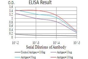 ELISA image for anti-Ras-related Protein Ral-A (rala) (AA 71-203) antibody (ABIN5542386)