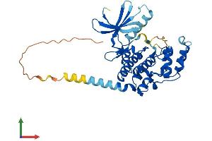 Protein Structure (PS) image for Cyclin-Dependent Kinase-Like 4 (CDKL4) (AA 1-342) protein (His tag) (ABIN7557108)