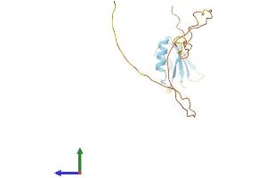 Protein Structure (PS) image for serine/arginine-Rich Splicing Factor 3 (SRSF3) (AA 1-164) protein (His tag) (ABIN7556762)